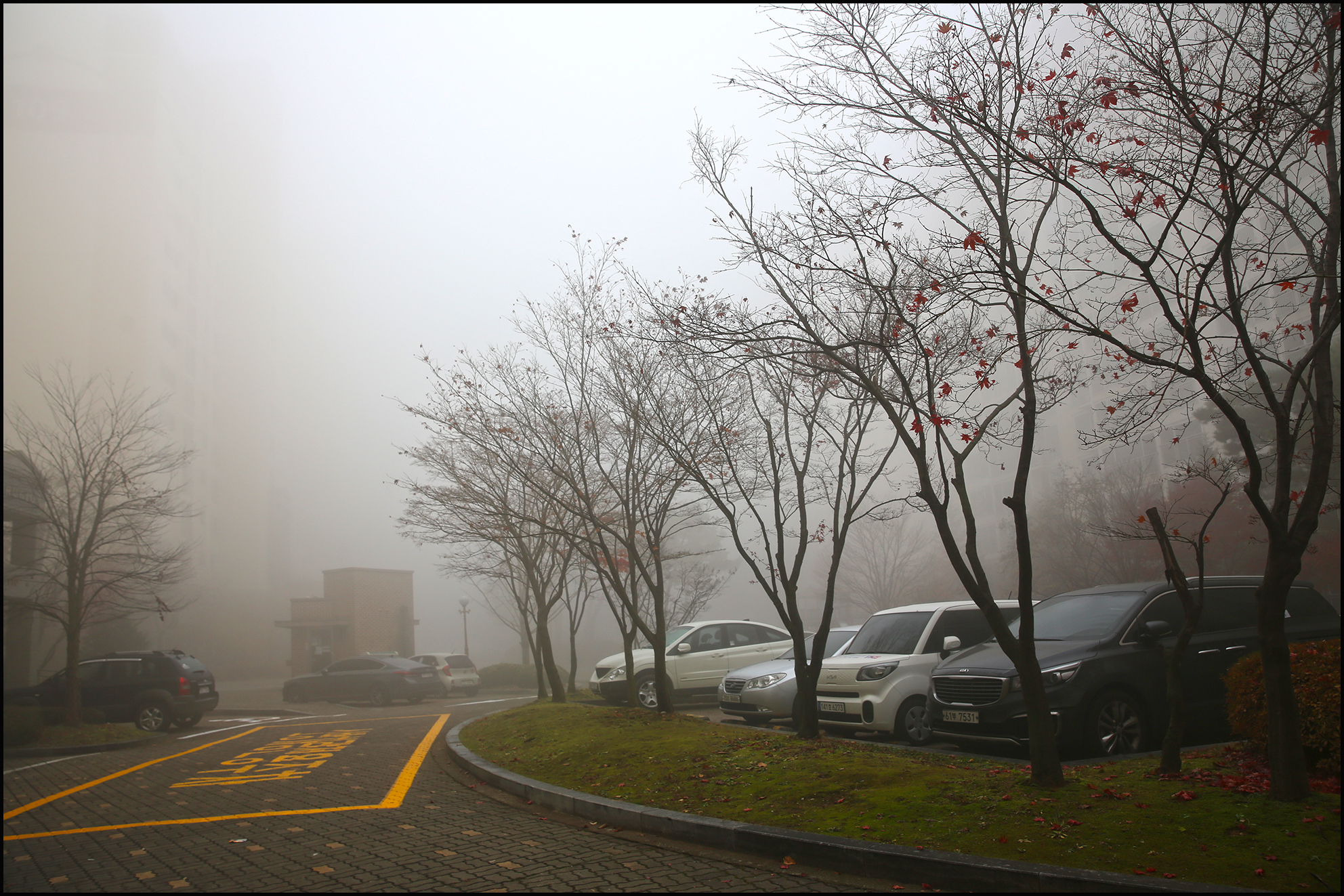 20211120154344c08609c88d1de7026af82d57aed64ee8db413e41.jpg