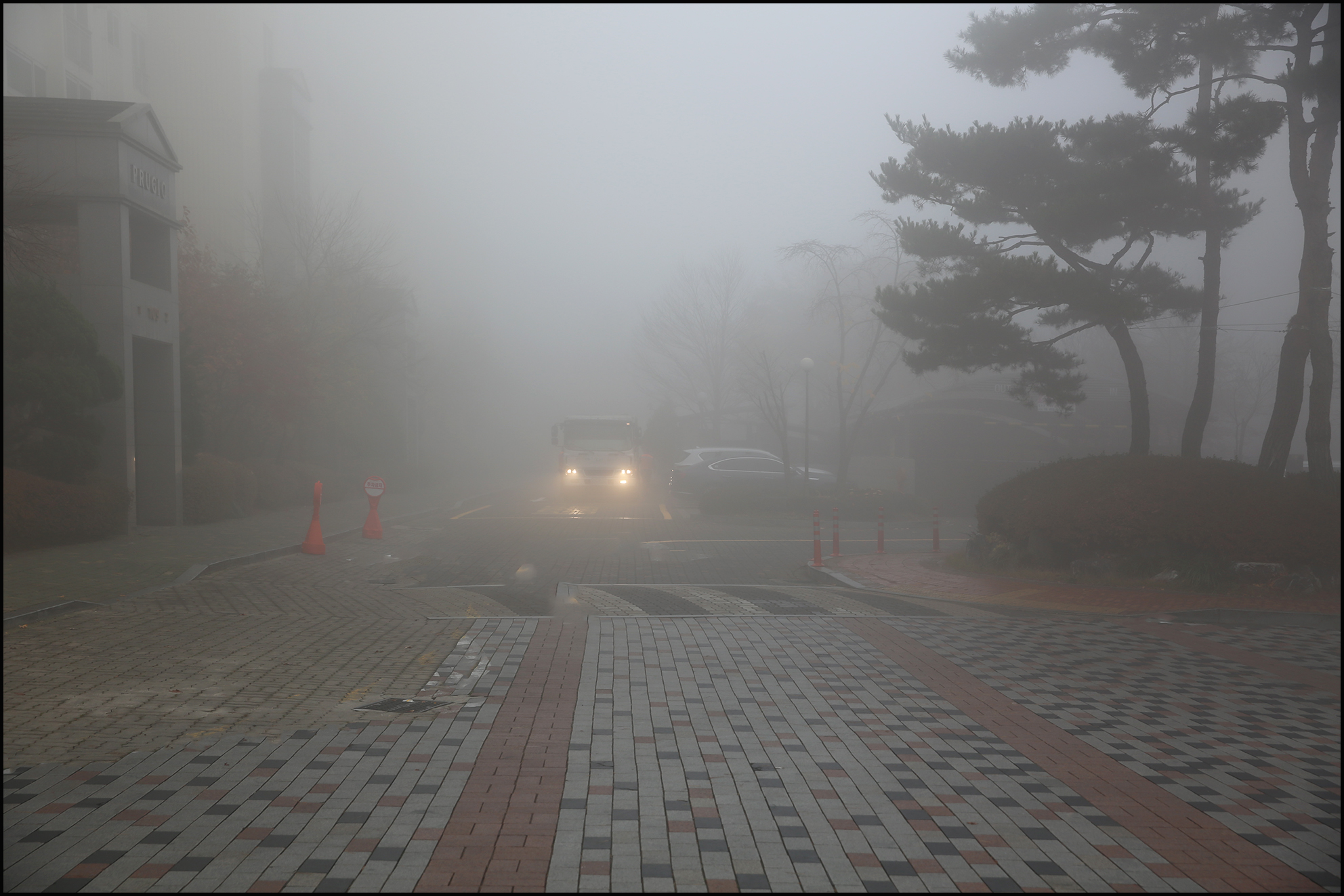 20211120154353a36bd2ca3fd418b3b6f6e140e24797729470f489.jpg